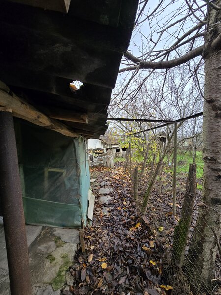 Comuna Facaeni, jud. Ialomita